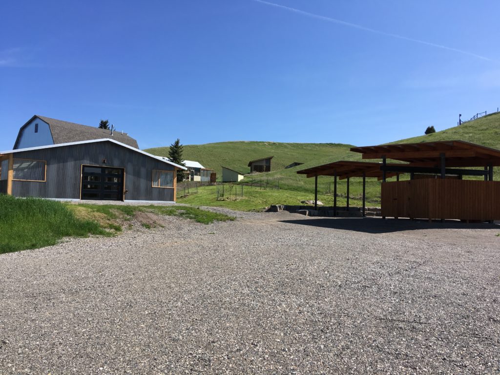 North side - Montana Raptor Conservation Center